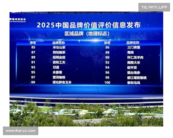 中超球队估值上涨，品牌价值报告显示市场潜力提升